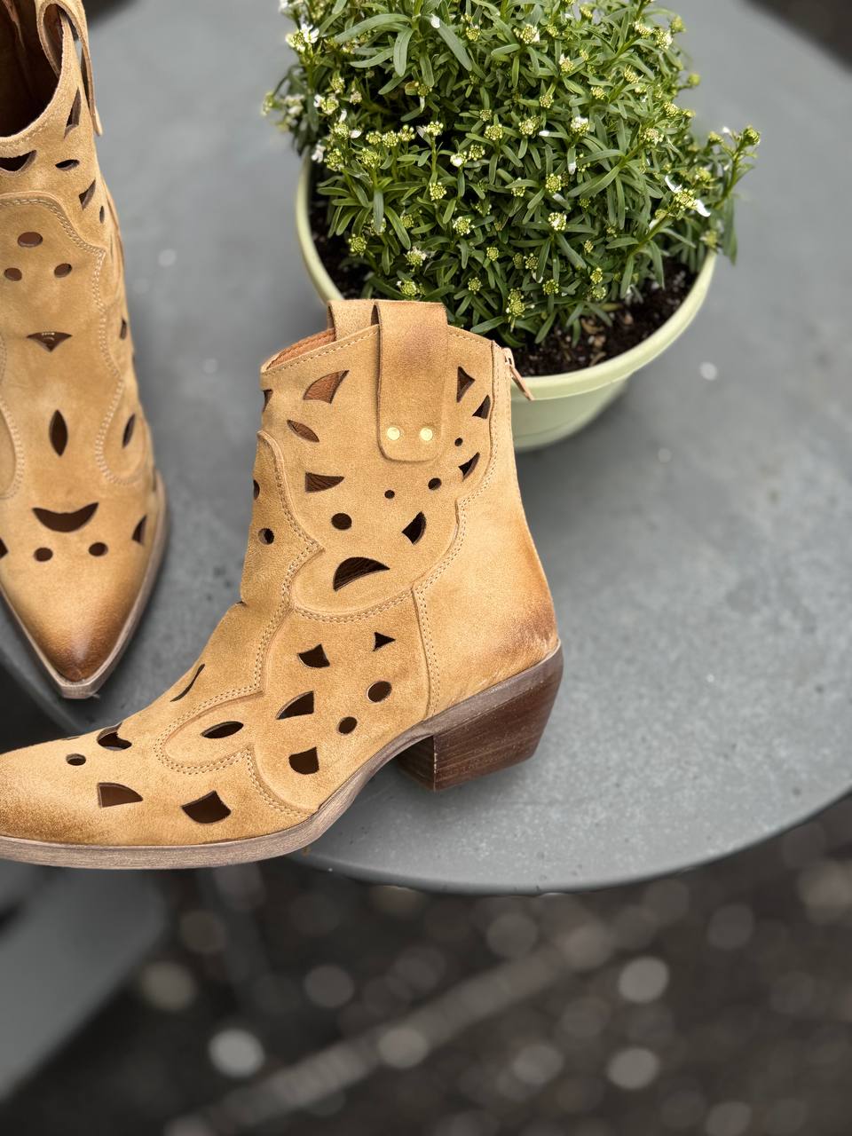 Фото Federica Lancioni