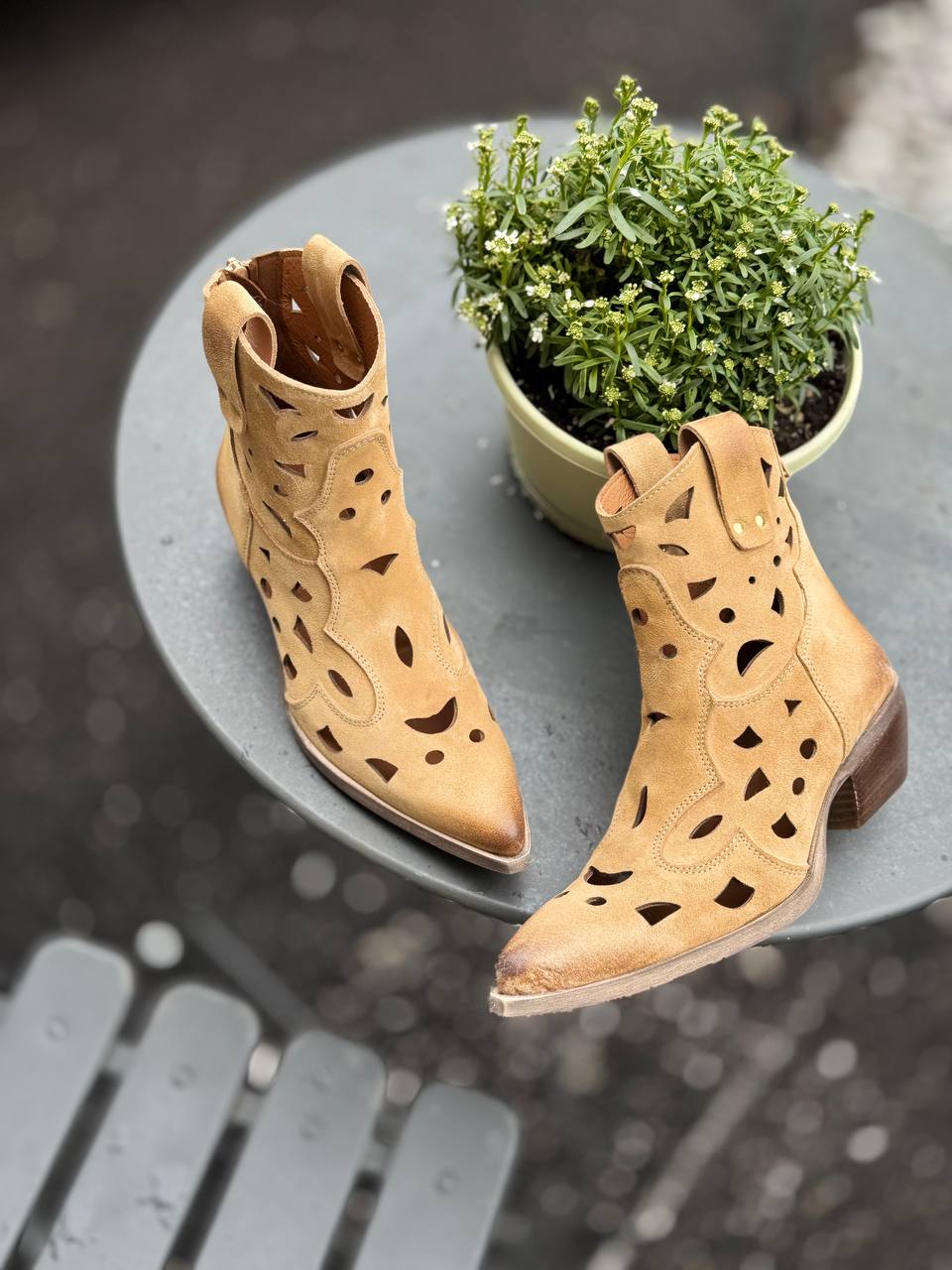 Фото Federica Lancioni