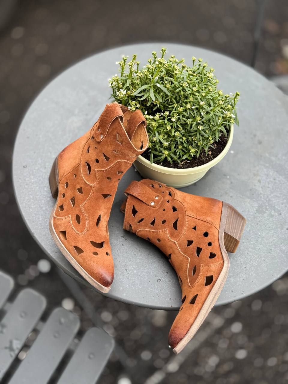 Фото Federica Lancioni