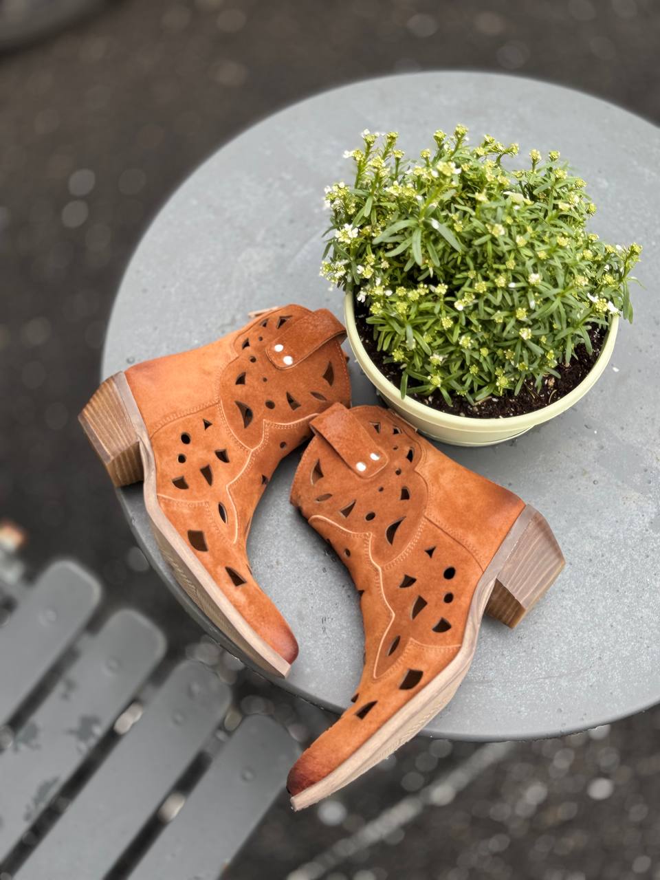 Фото Federica Lancioni