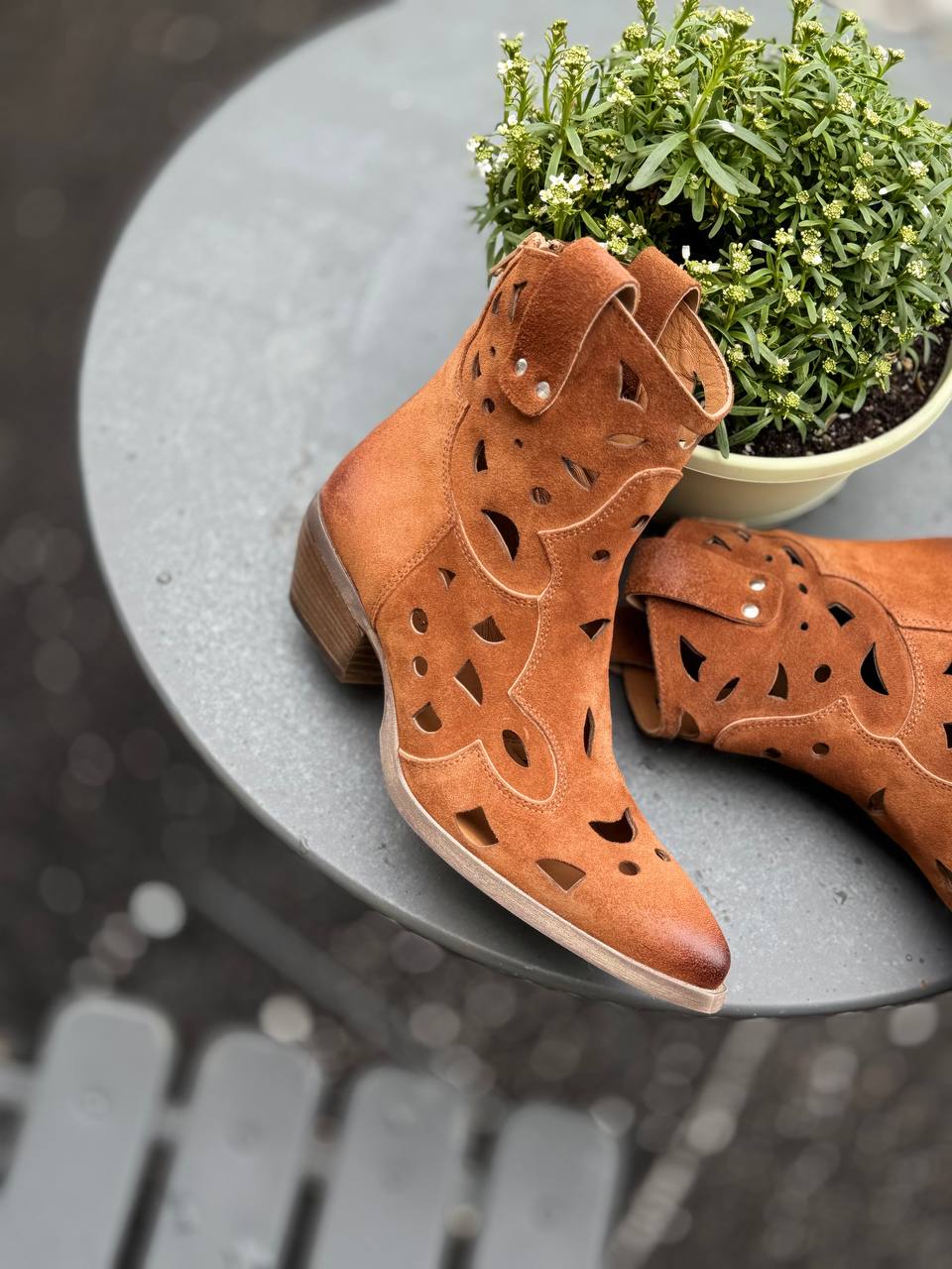 Фото Federica Lancioni