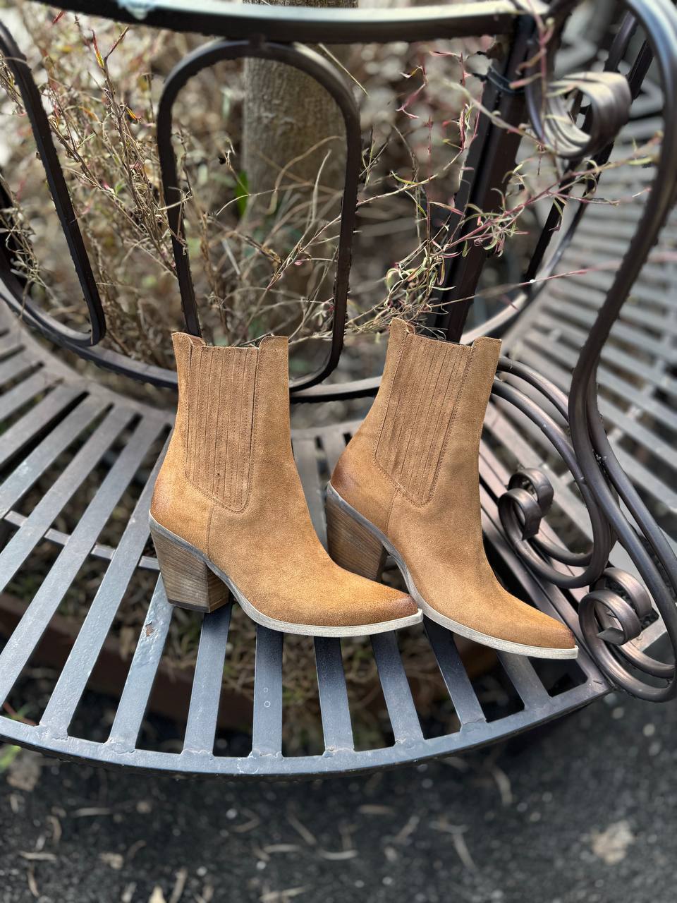 Фото Federica Lancioni