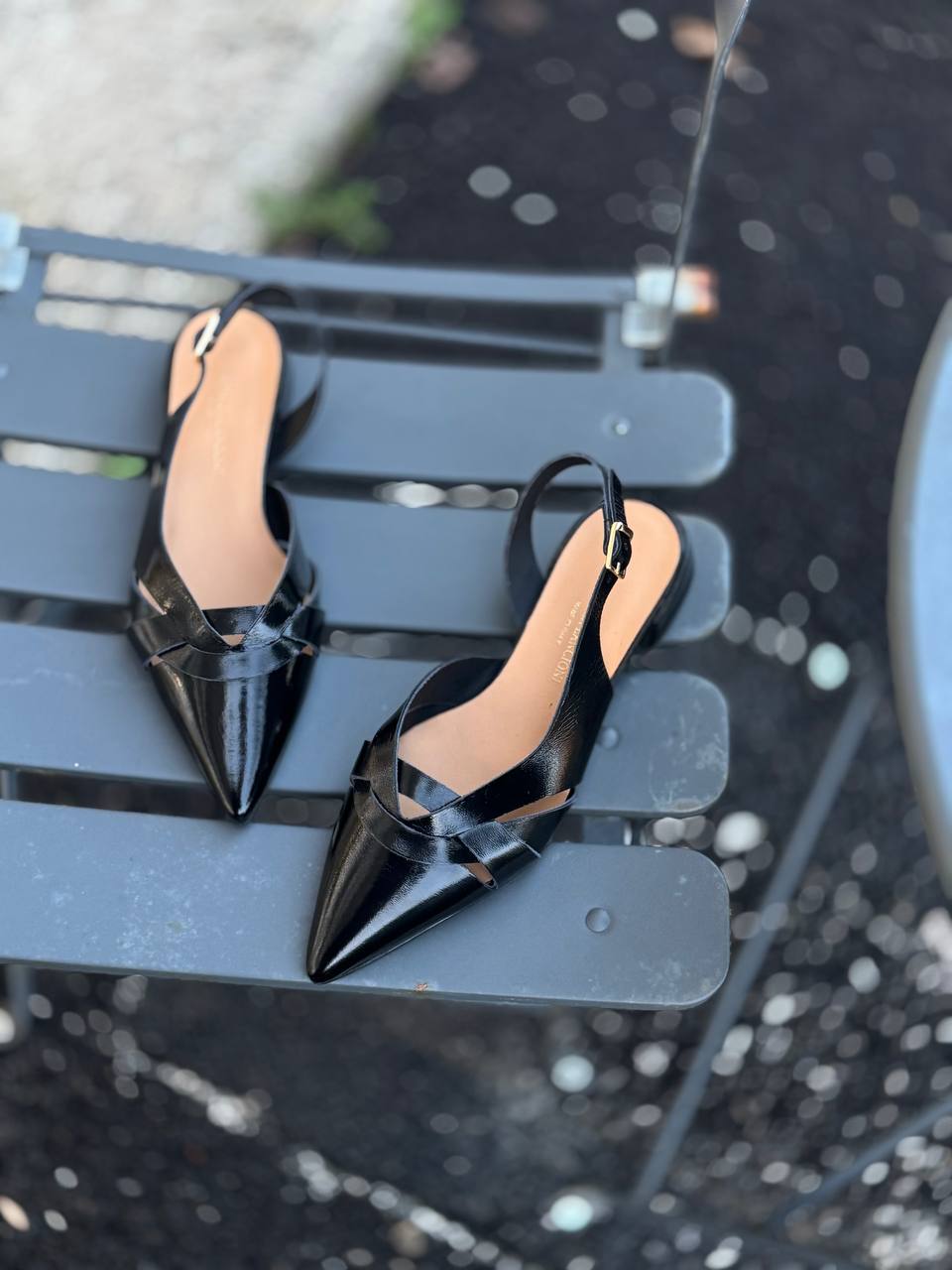 Фото Federica Lancioni