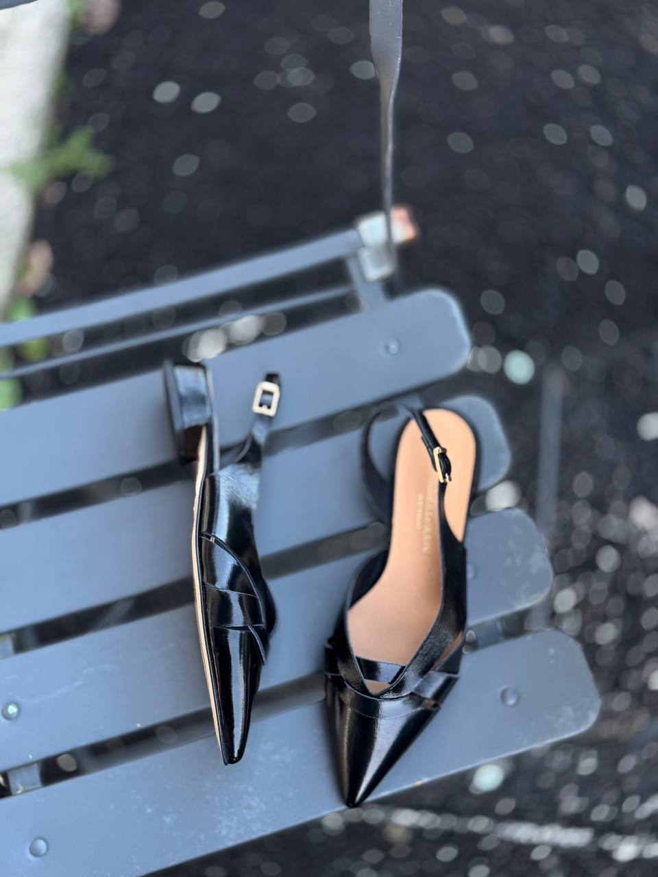 Фото Federica Lancioni