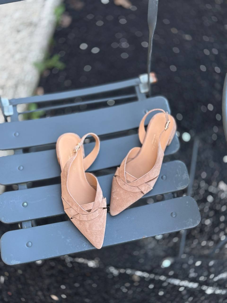 Фото Federica Lancioni