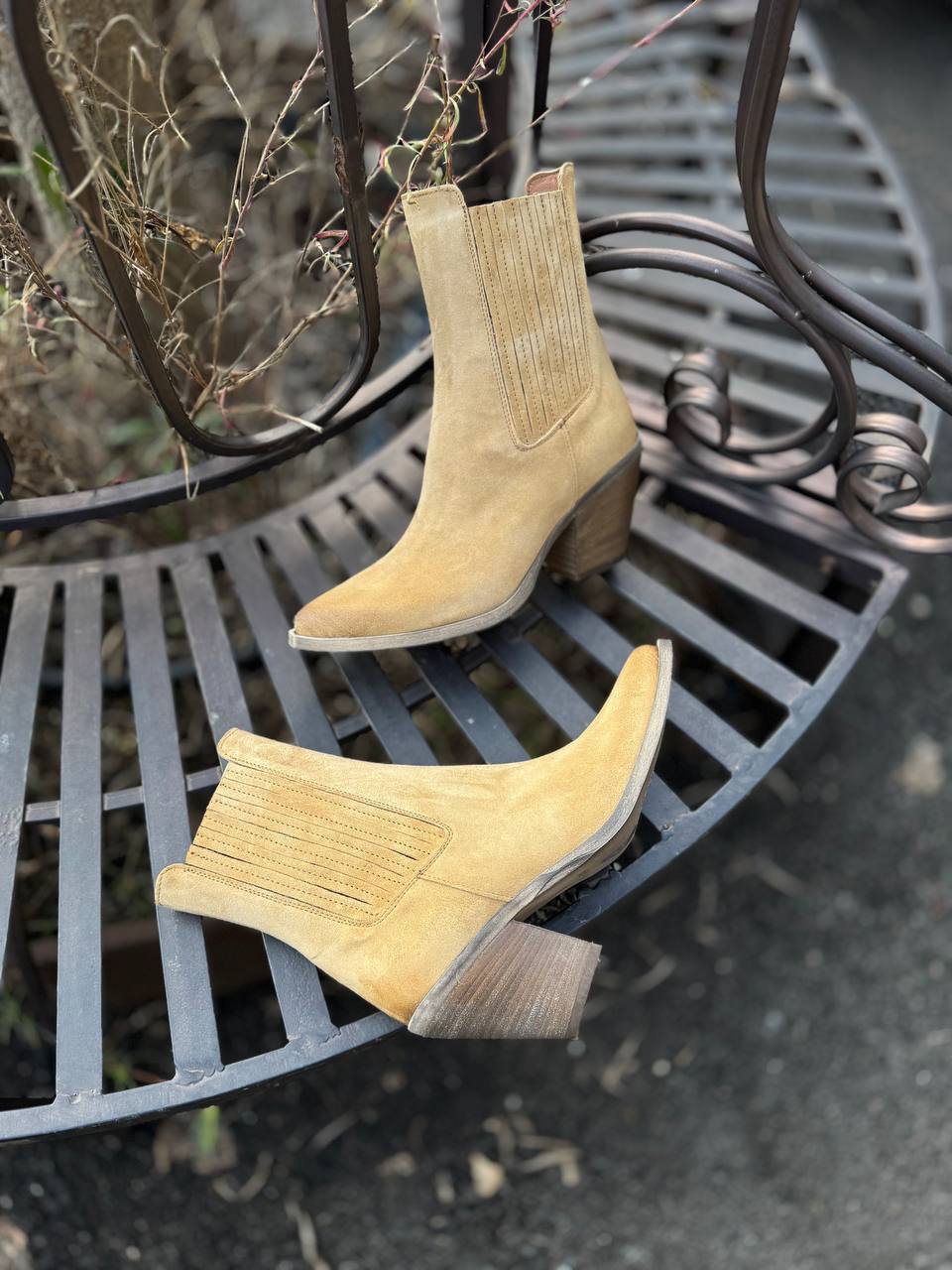 Фото Federica Lancioni