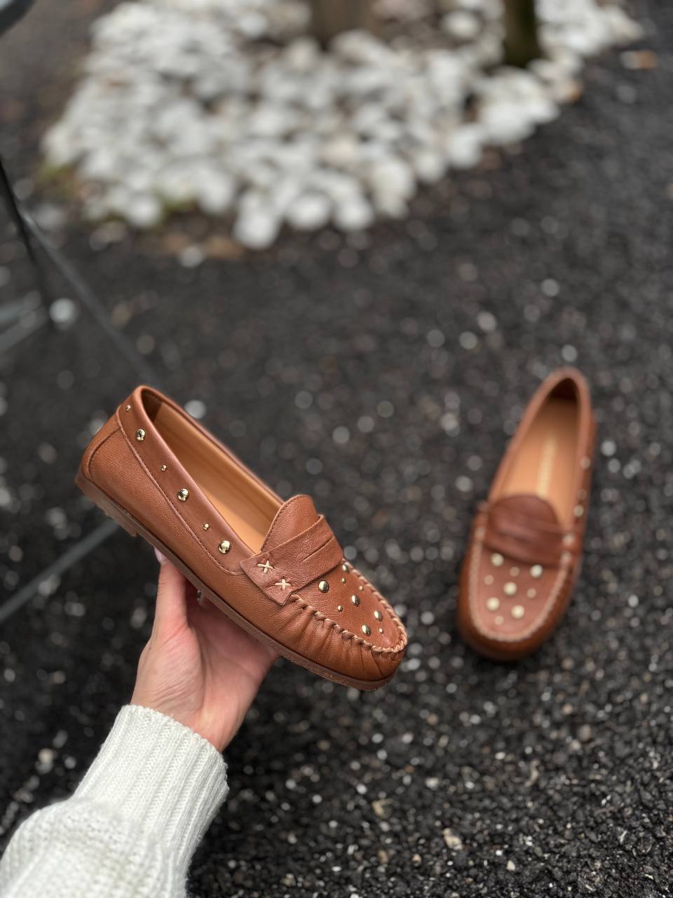 Фото Federica Lancioni