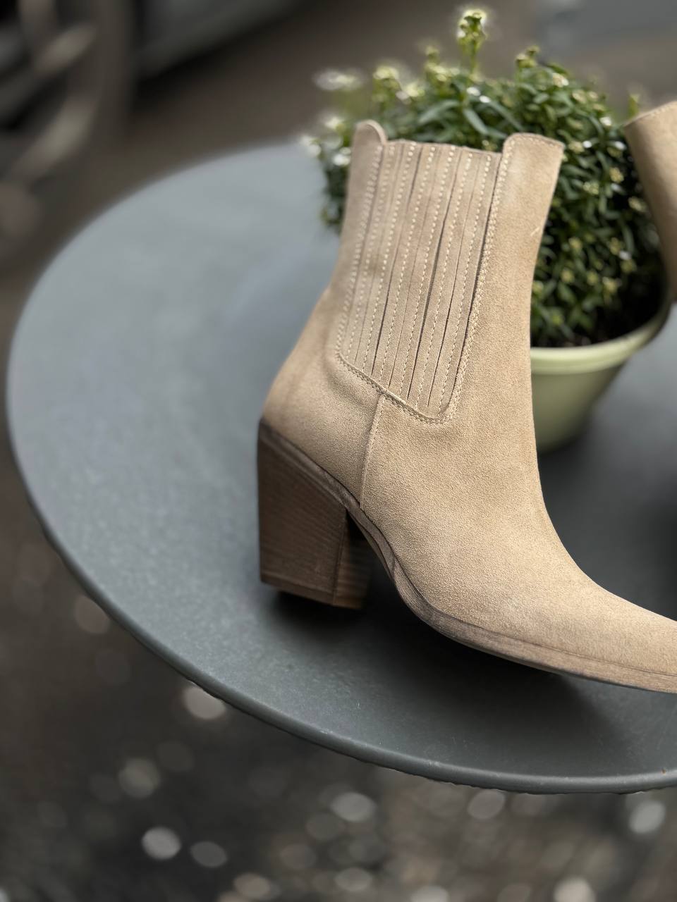 Фото Federica Lancioni