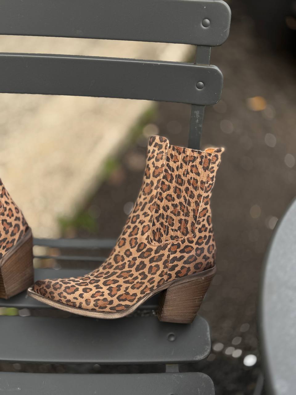 Фото Federica Lancioni