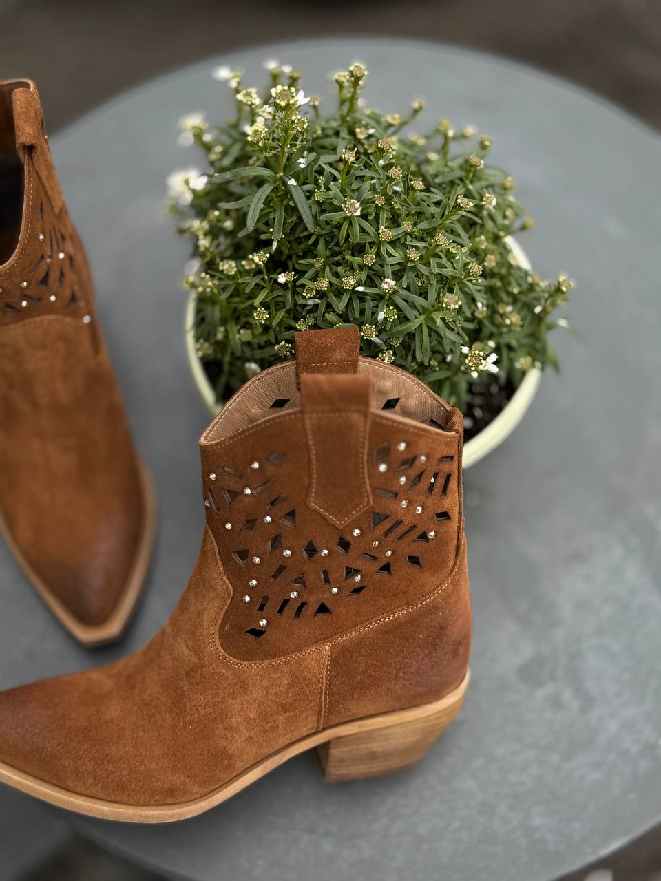 Фото Federica Lancioni