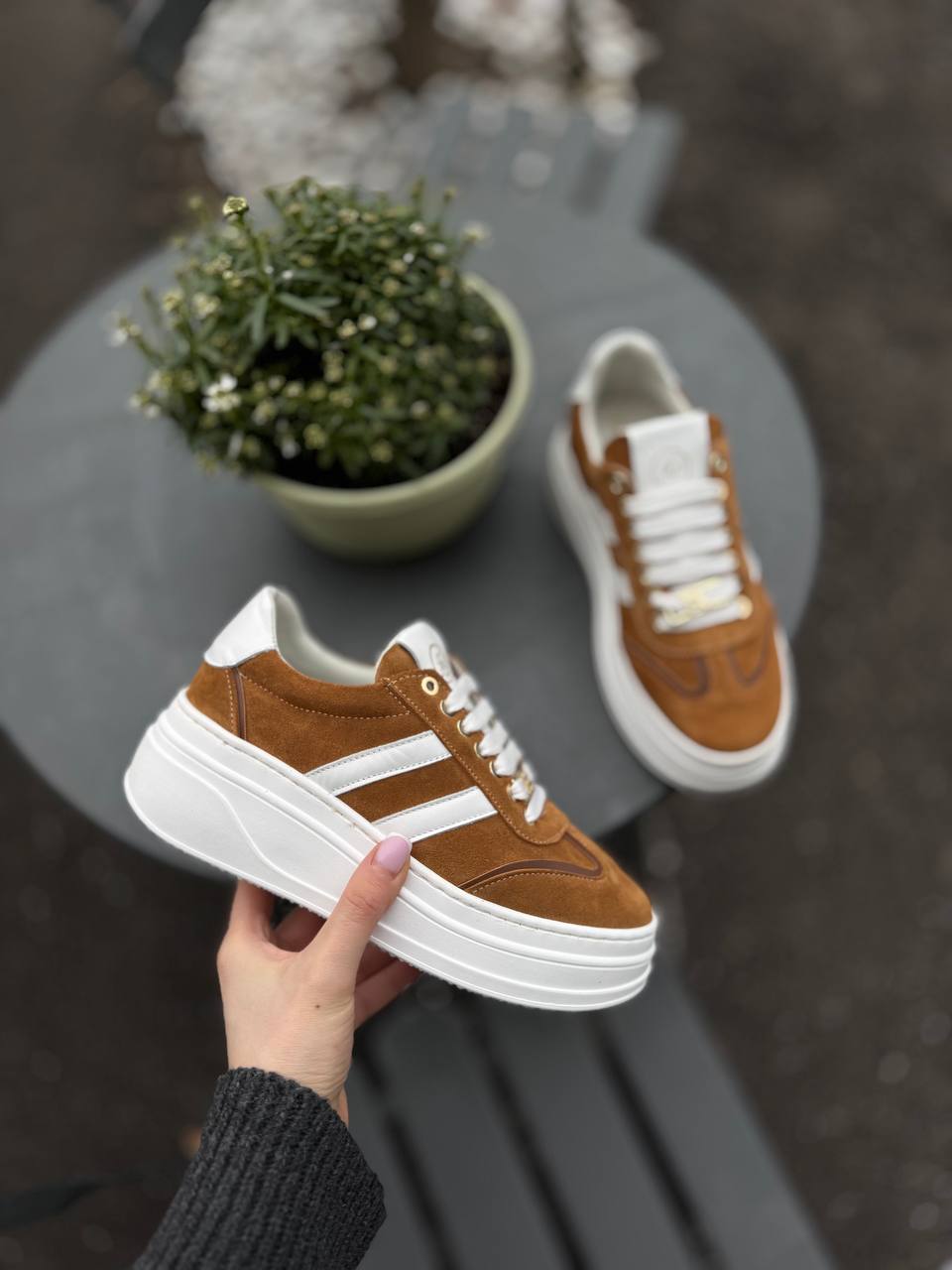 Фото Federica Lancioni