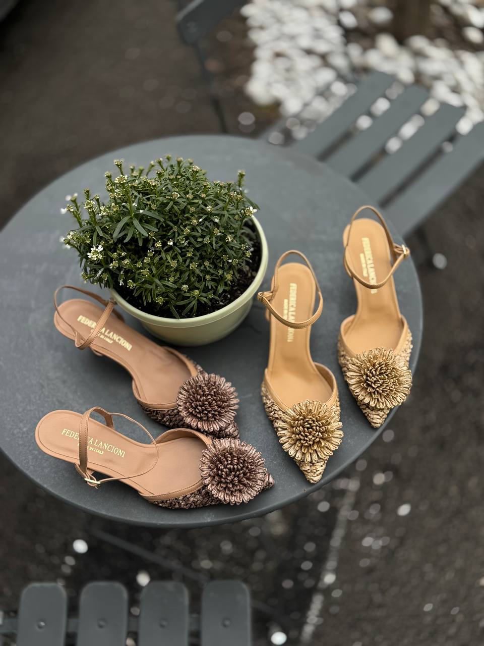 Фото Federica Lancioni