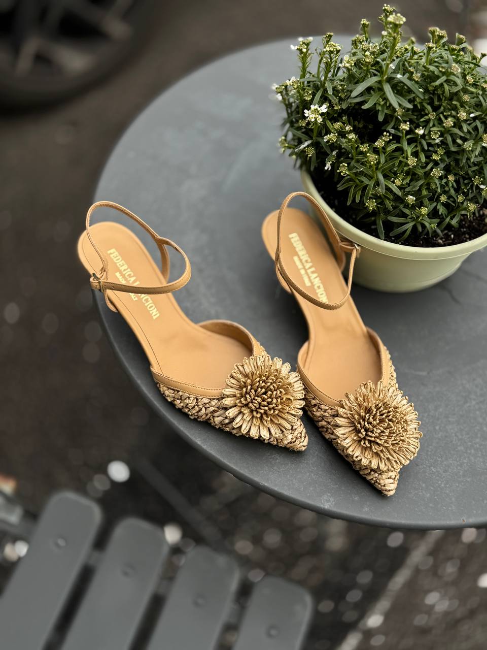 Фото Federica Lancioni