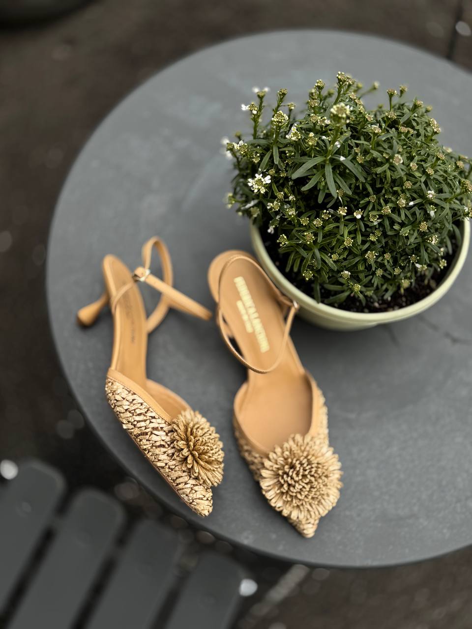 Фото Federica Lancioni