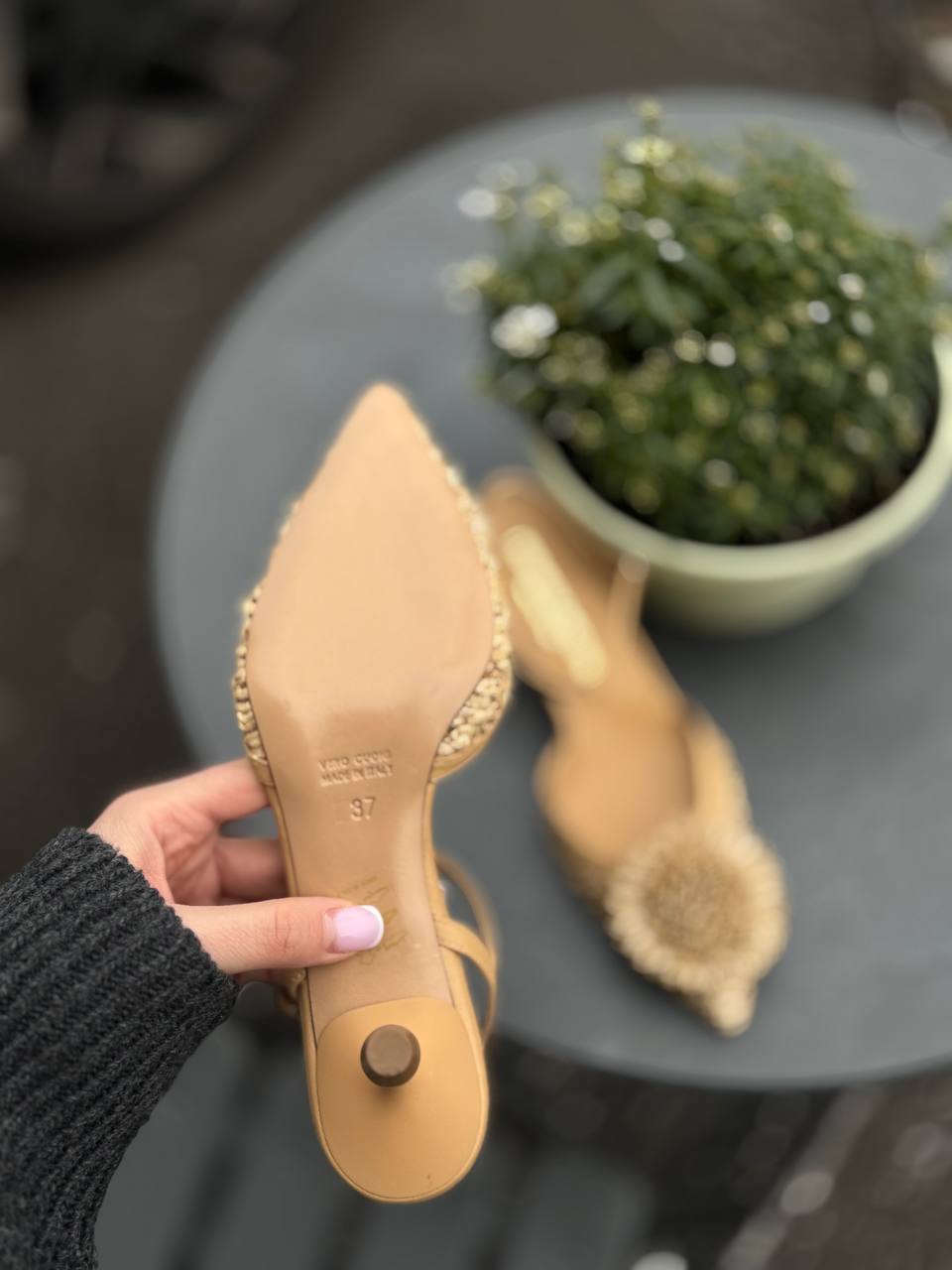 Фото Federica Lancioni