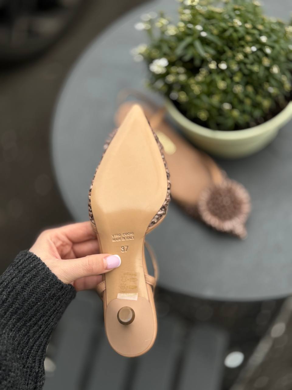 Фото Federica Lancioni