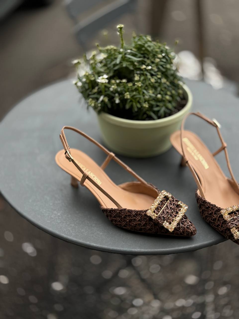 Фото Federica Lancioni