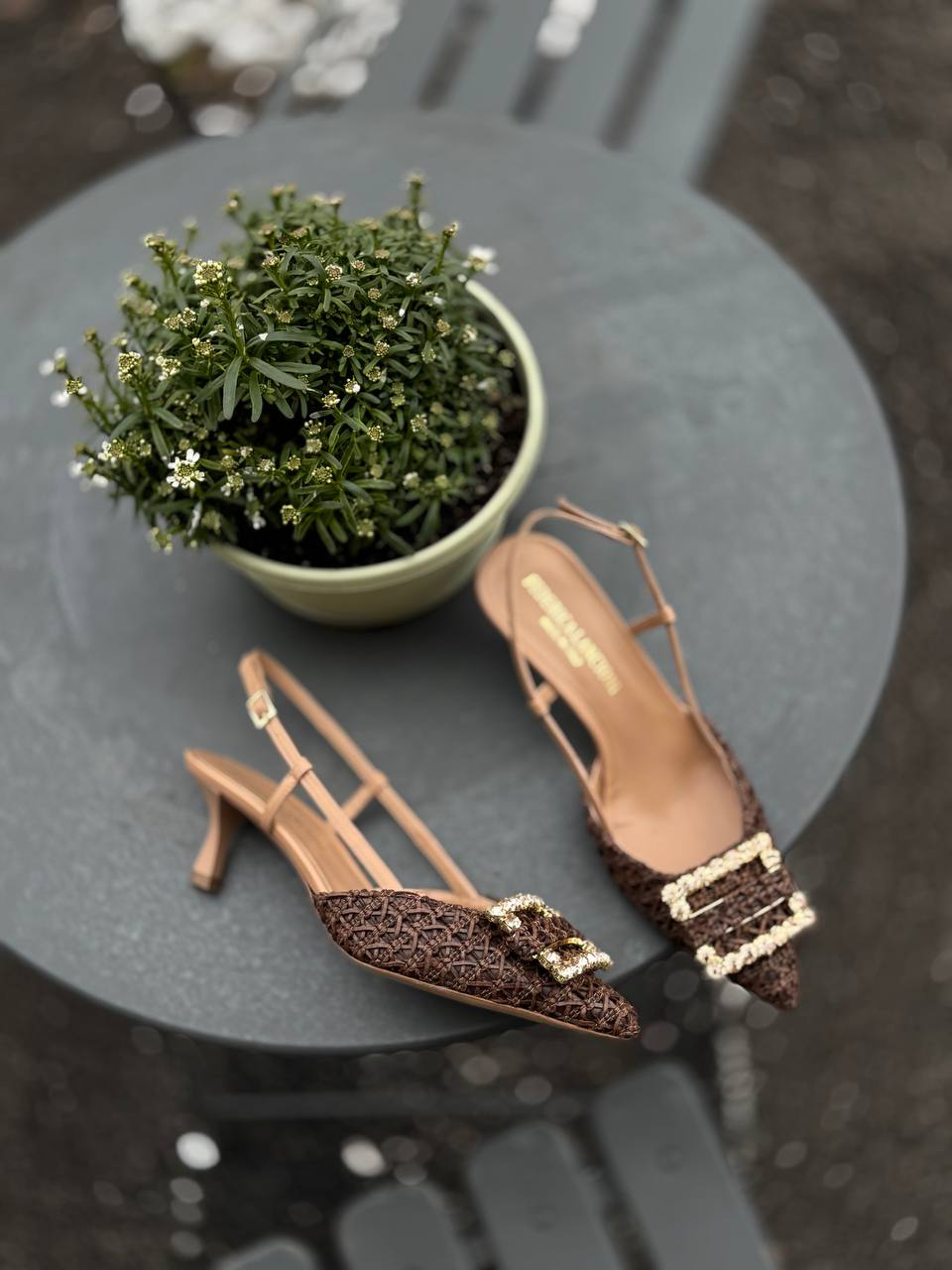 Фото Federica Lancioni