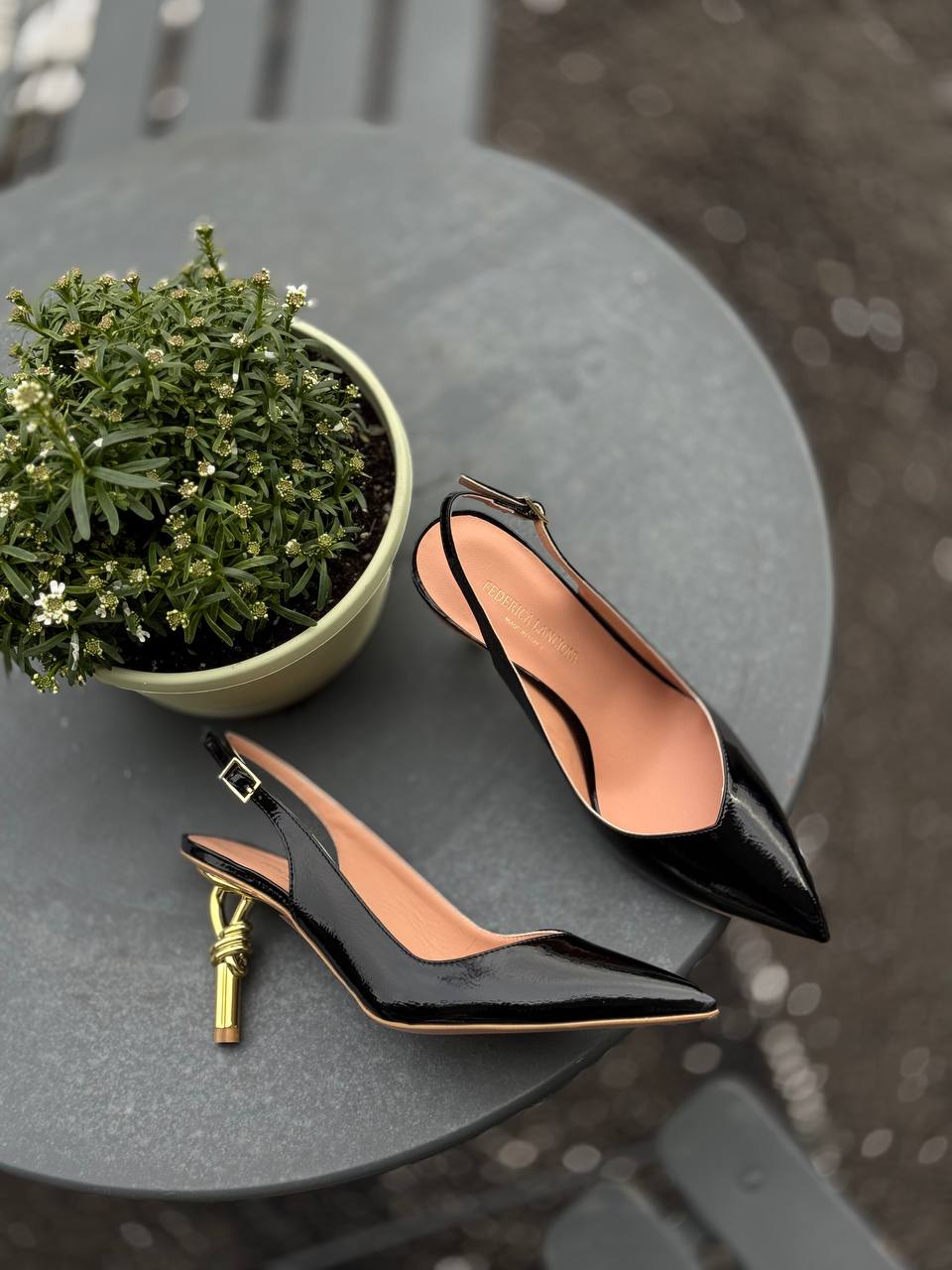 Фото Federica Lancioni