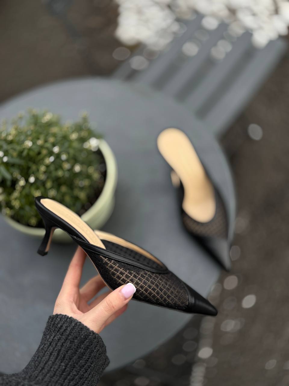 Фото Federica Lancioni