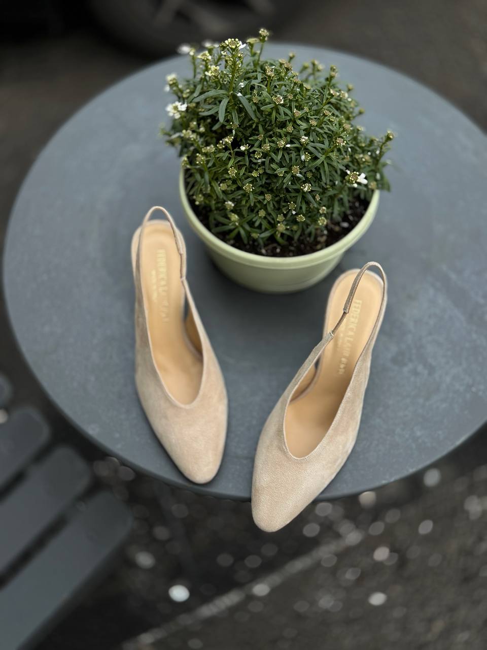 Фото Federica Lancioni