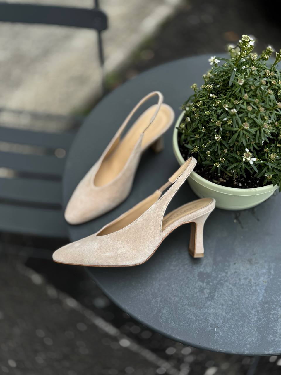 Фото Federica Lancioni