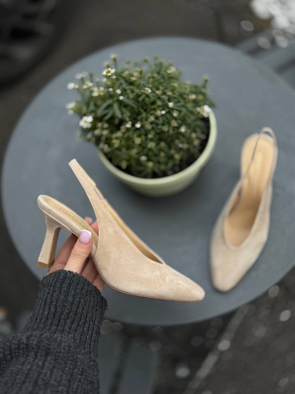 Фото Federica Lancioni