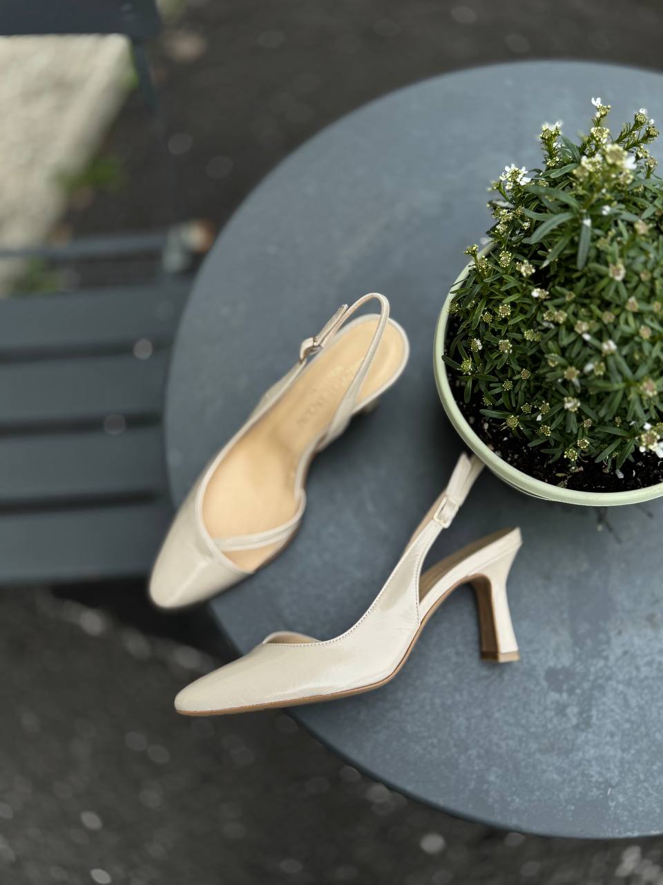 Фото Federica Lancioni