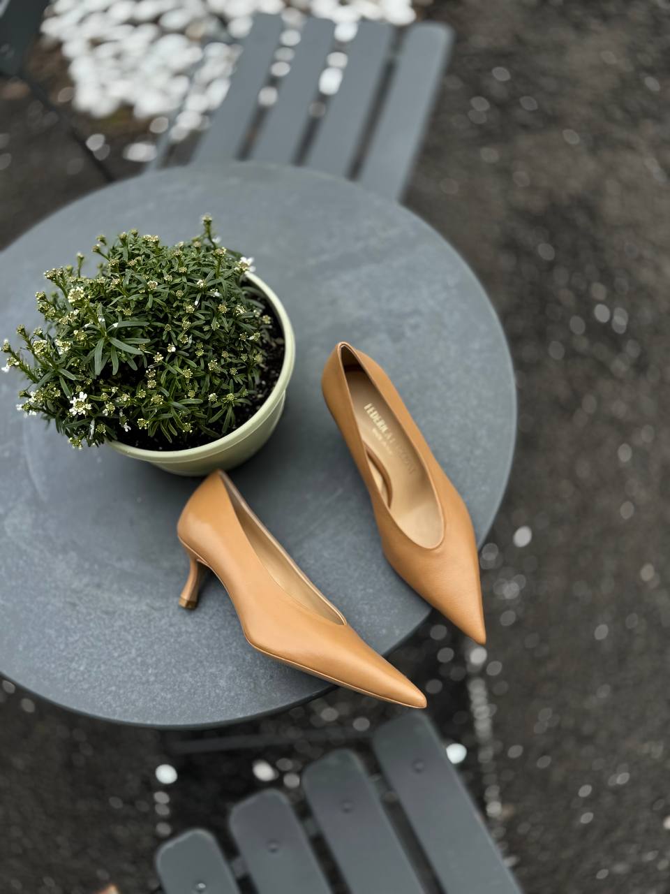 Фото Federica Lancioni