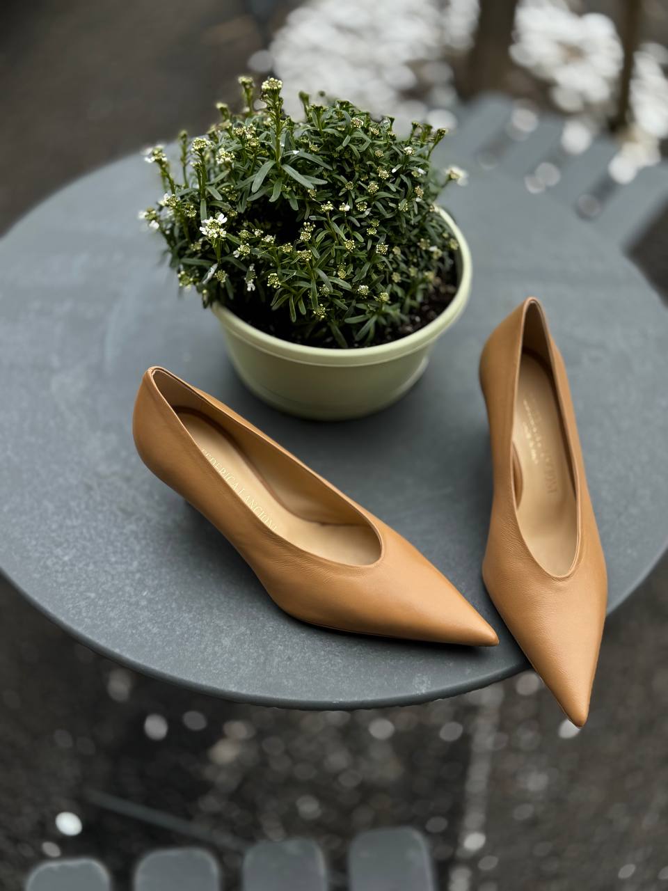 Фото Federica Lancioni