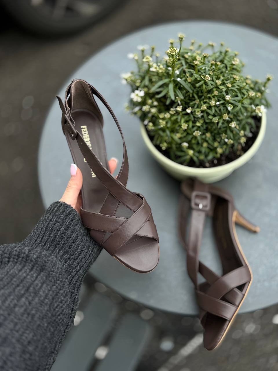 Фото Federica Lancioni