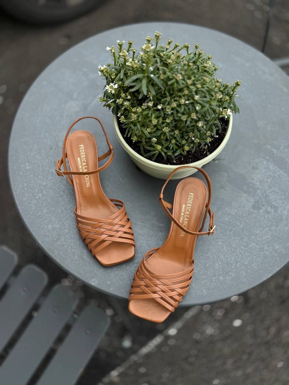 Фото Federica Lancioni