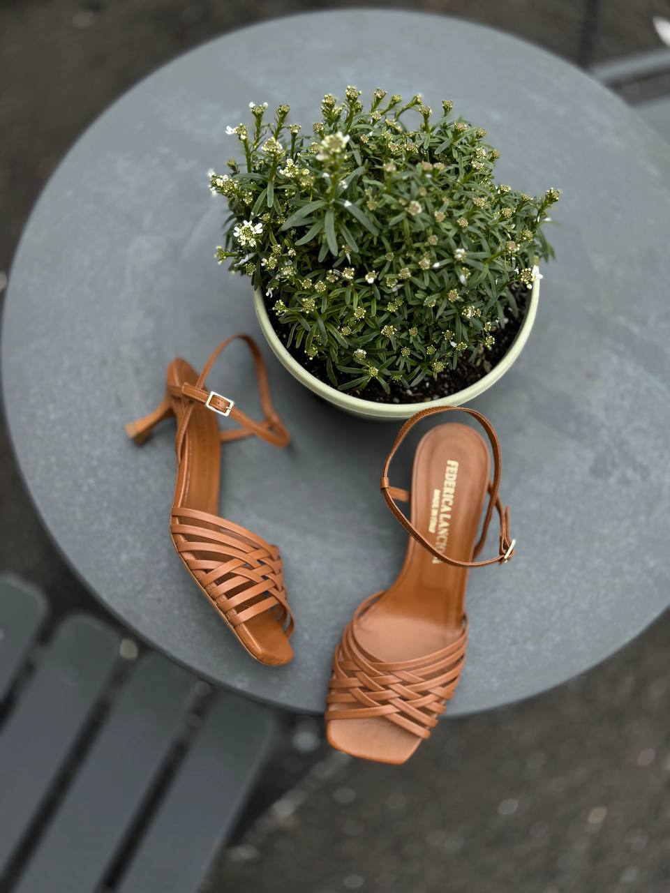 Фото Federica Lancioni