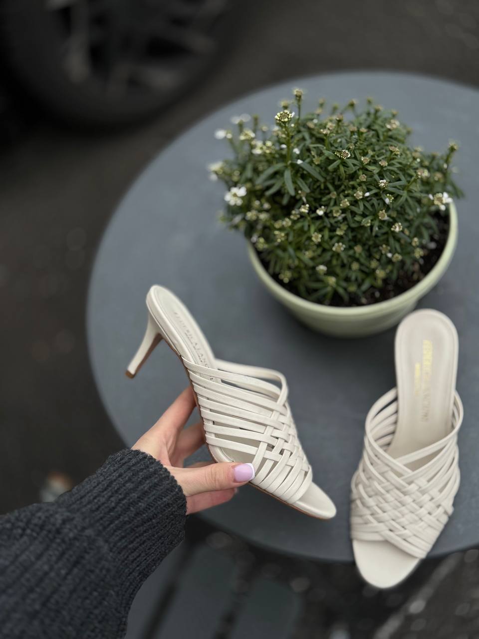 Фото Federica Lancioni