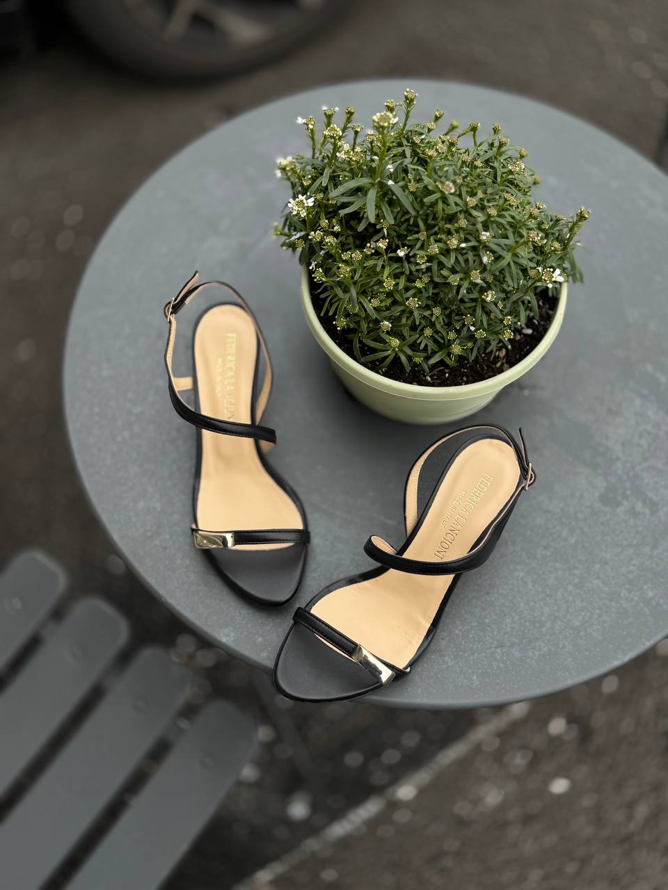 Фото Federica Lancioni