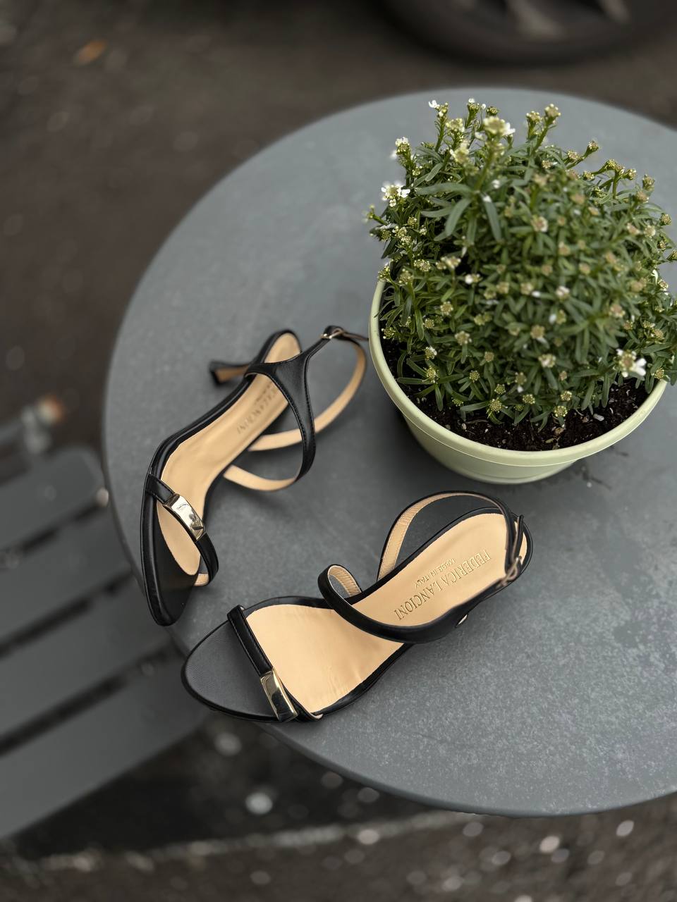 Фото Federica Lancioni