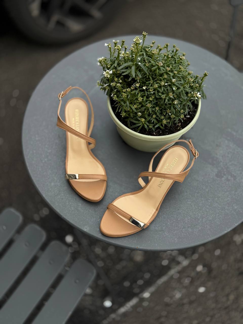 Фото Federica Lancioni