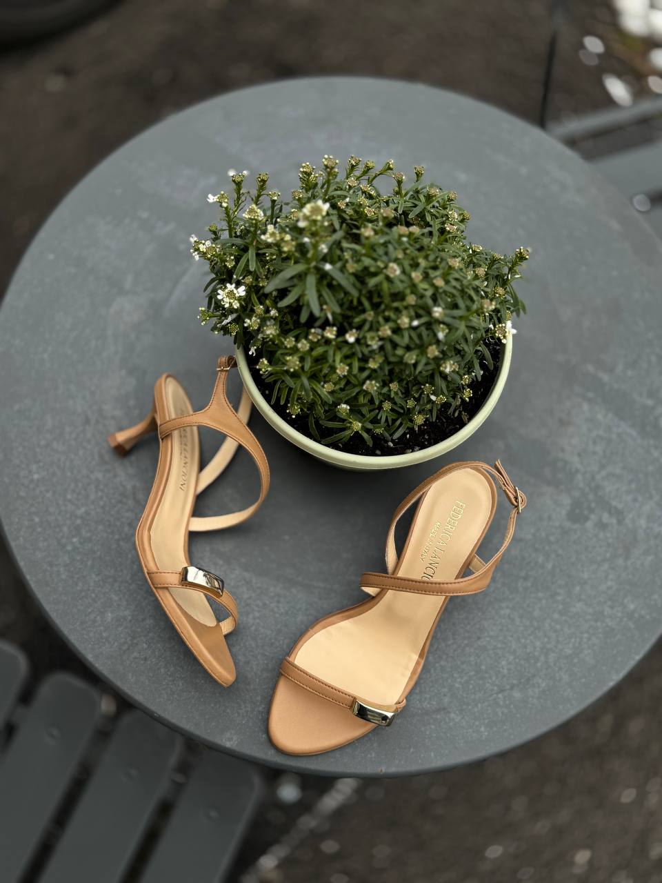 Фото Federica Lancioni