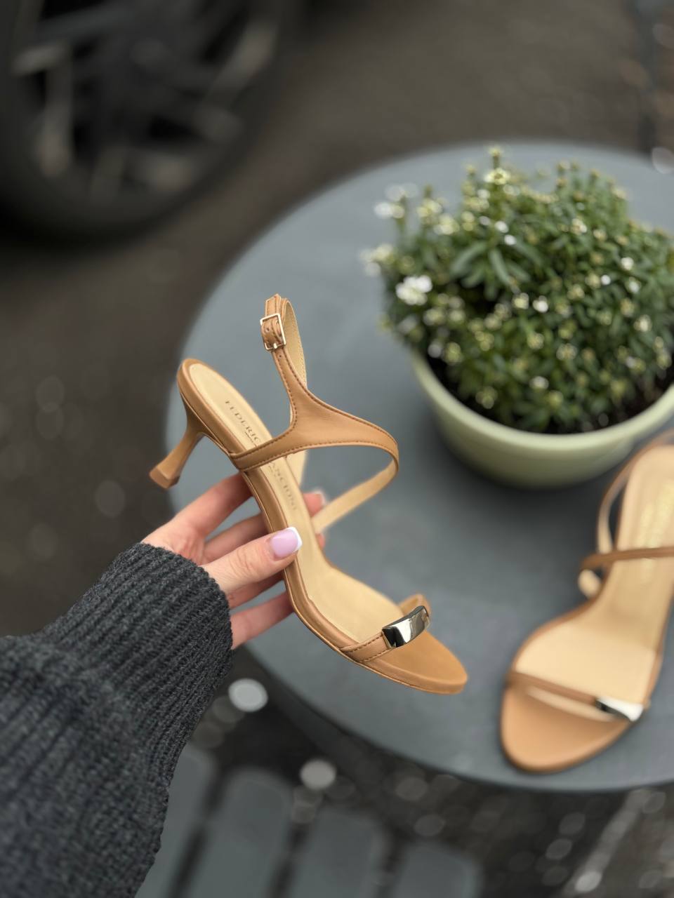 Фото Federica Lancioni