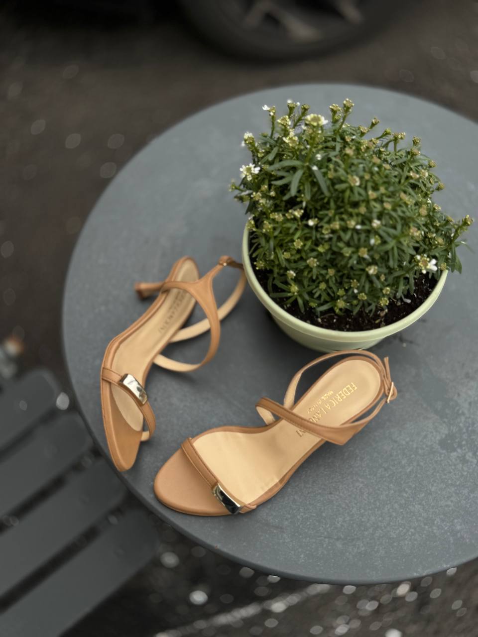 Фото Federica Lancioni