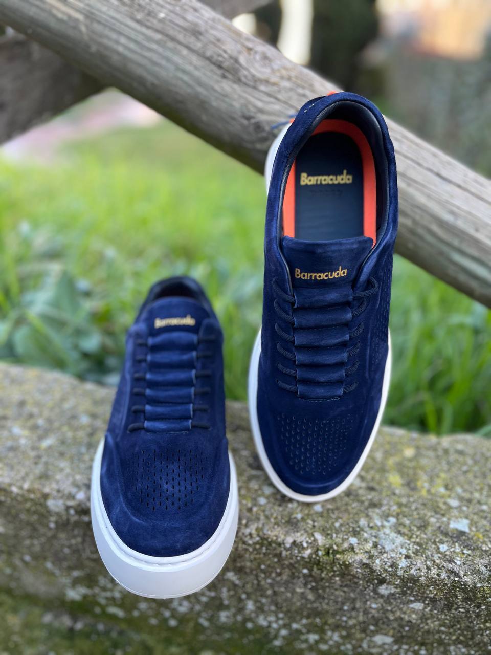 Фото Roberto Serpentini