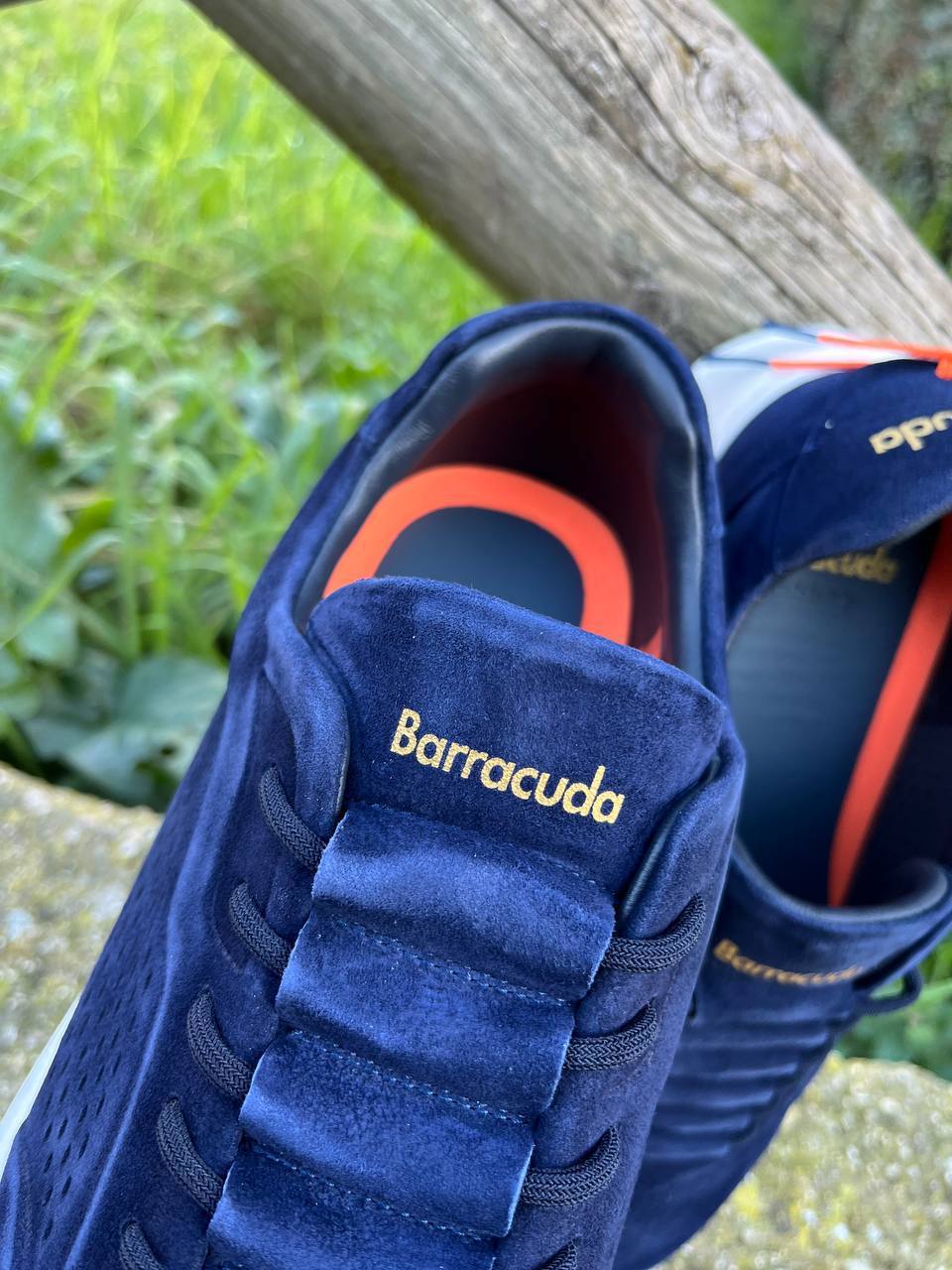 Фото Roberto Serpentini