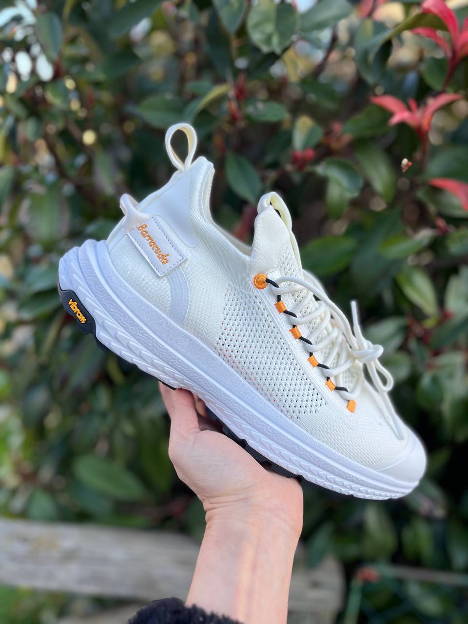 Фото Roberto Serpentini