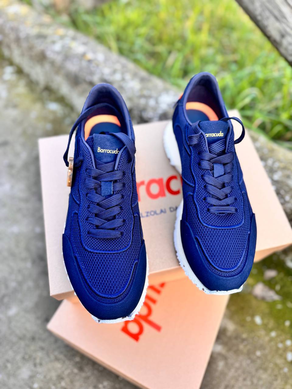 Фото Roberto Serpentini