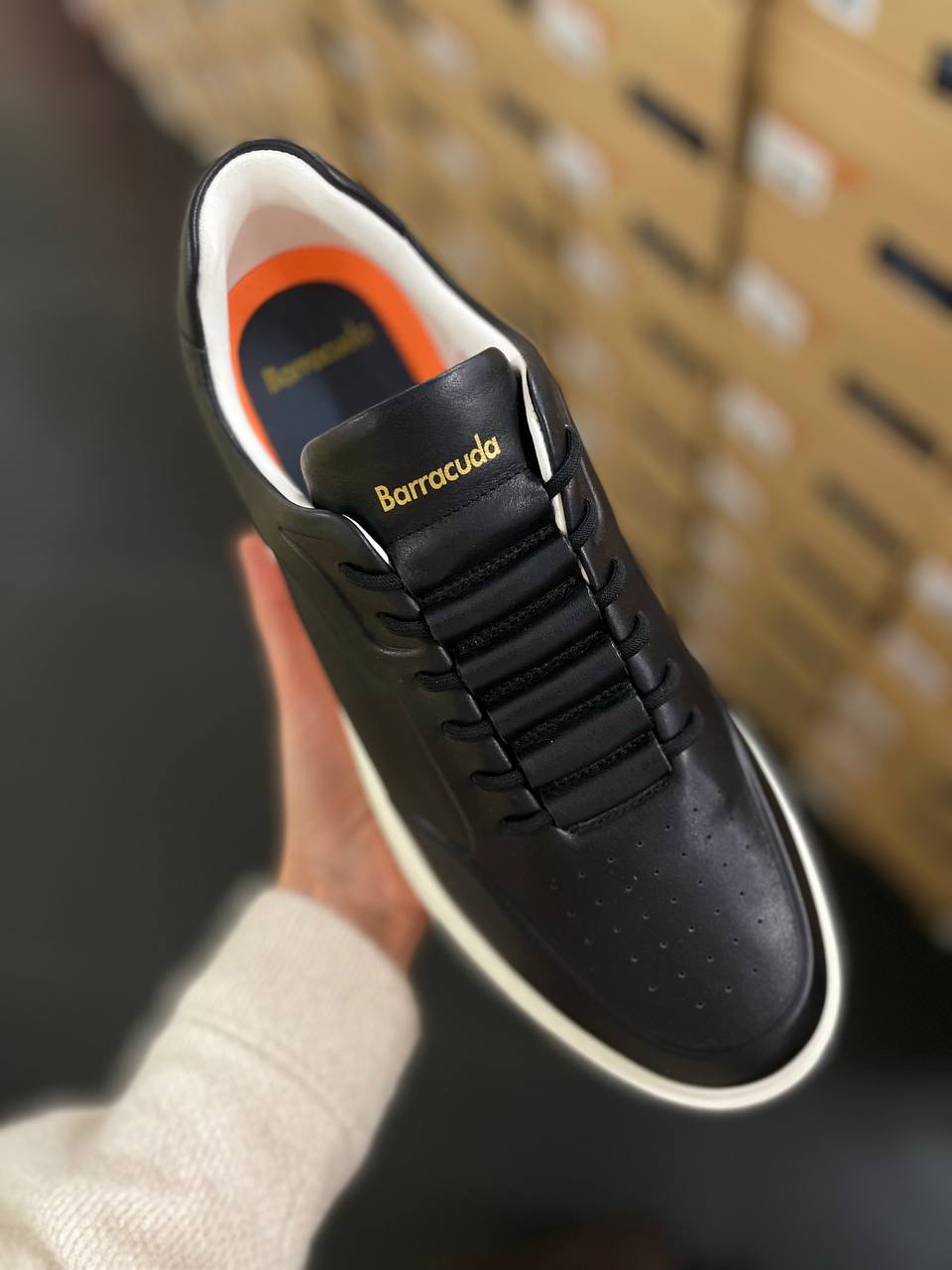 Фото Roberto Serpentini