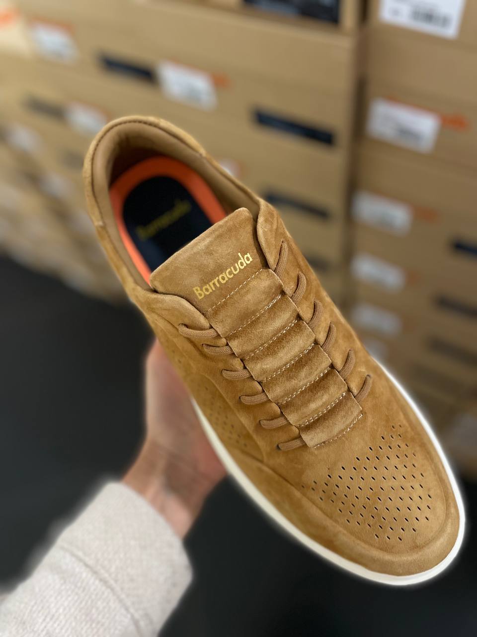 Фото Roberto Serpentini