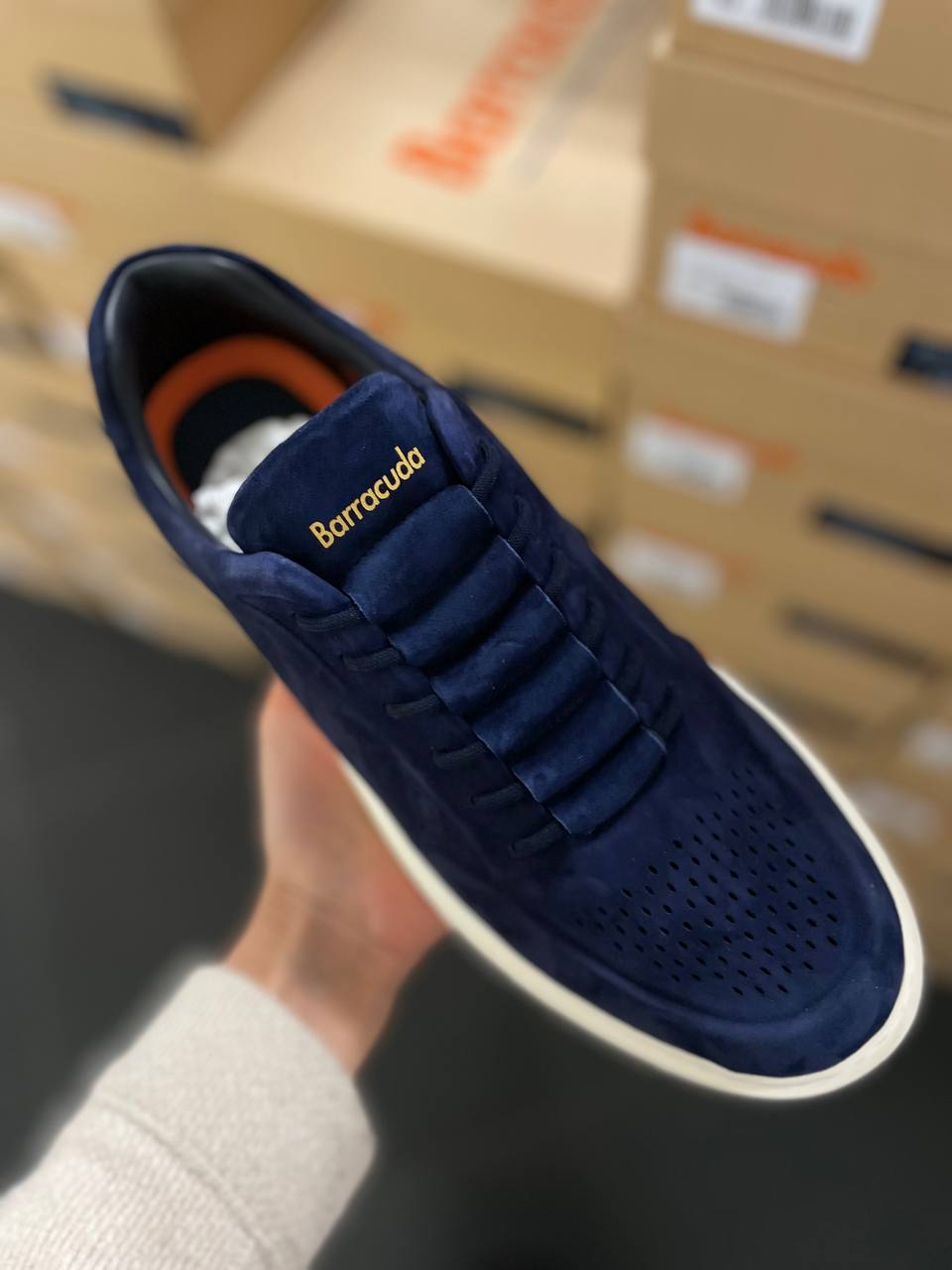 Фото Roberto Serpentini