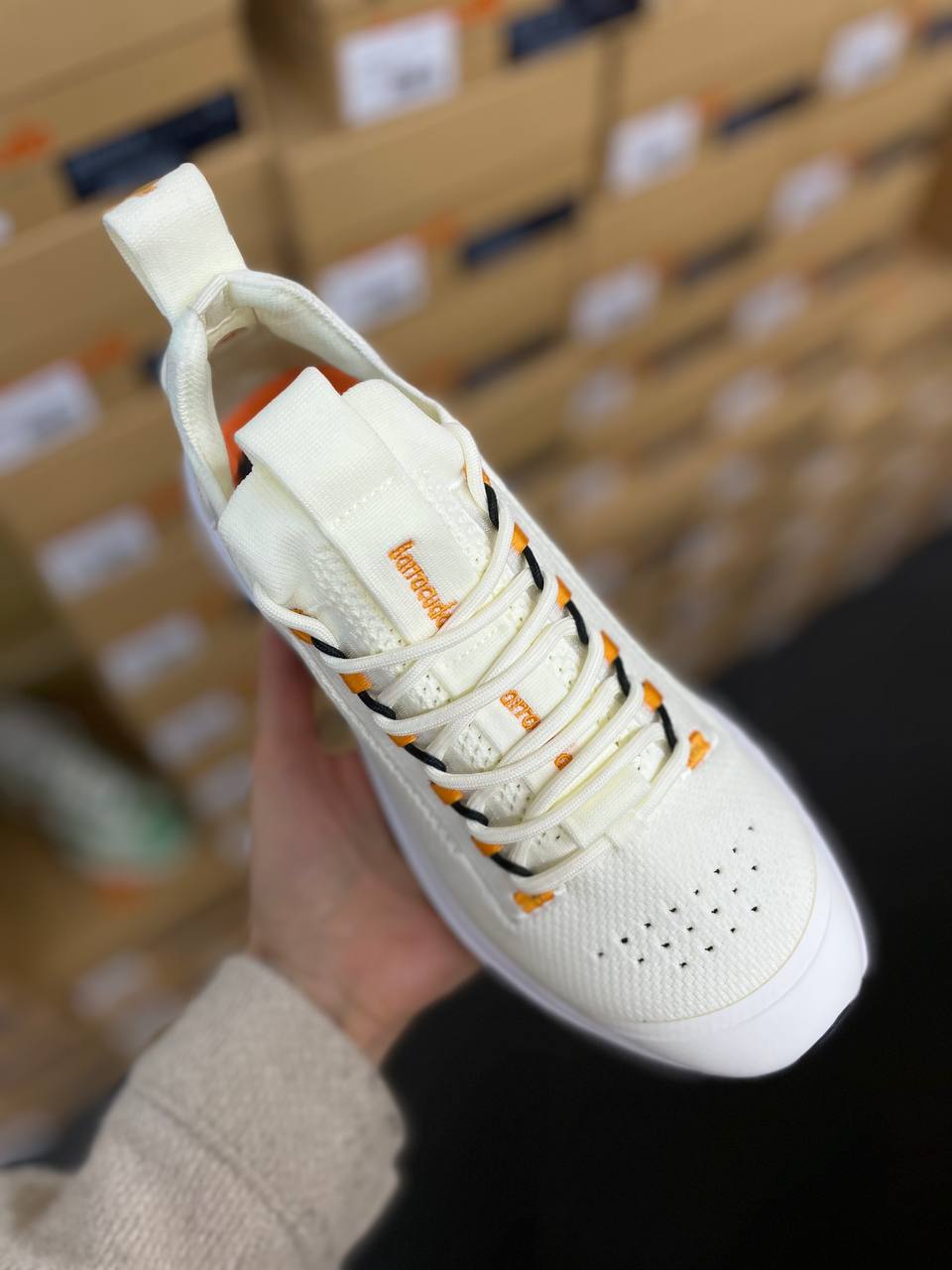 Фото Roberto Serpentini