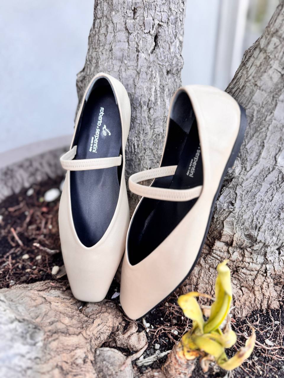 Фото Roberto Serpentini