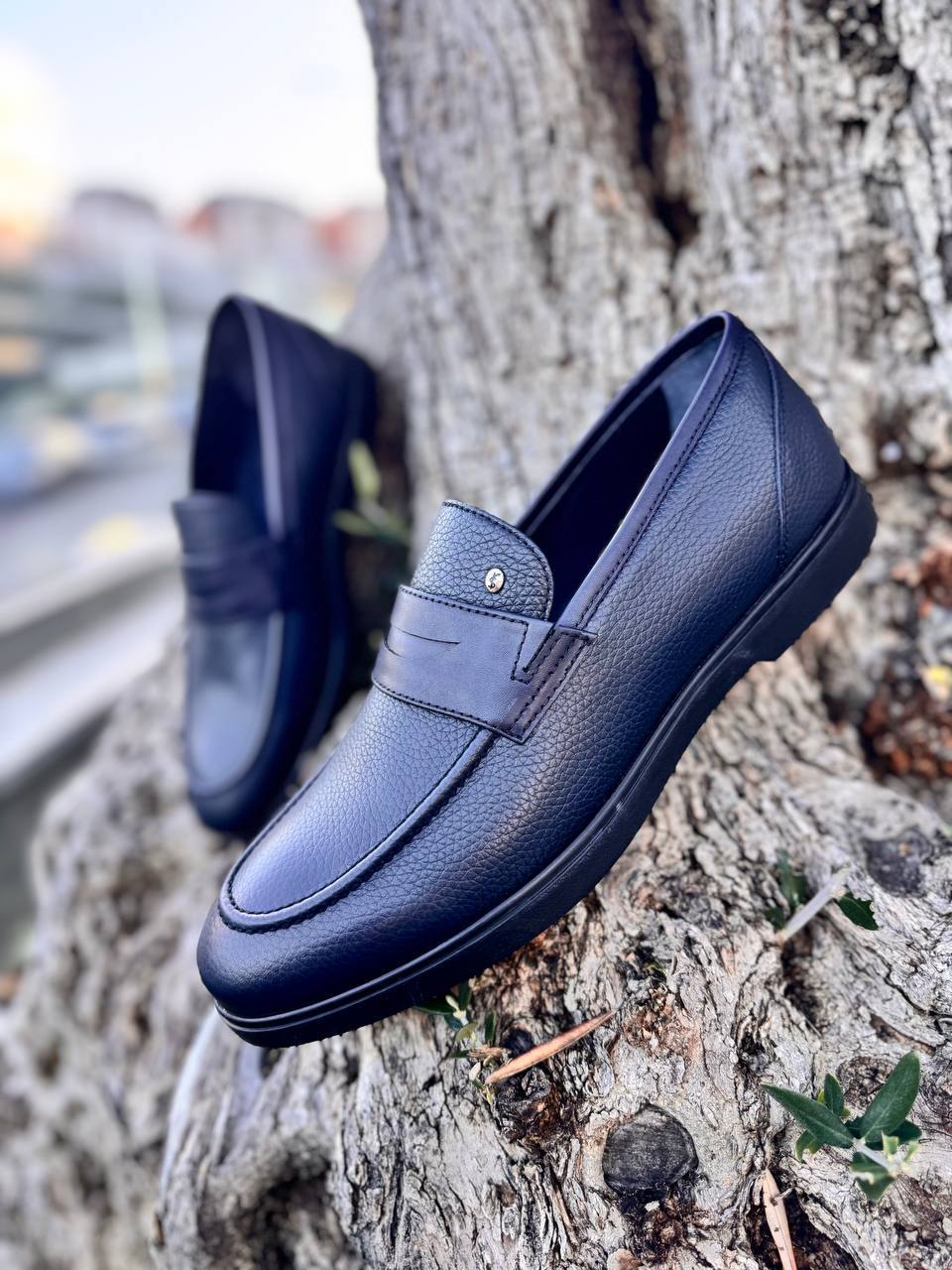 Фото Roberto Serpentini